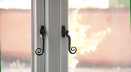 Town House Windows
