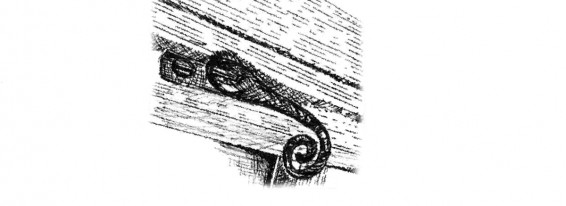 pic81