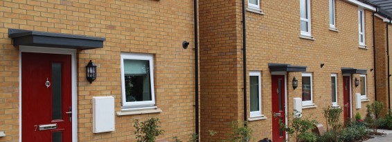 Add A Splash of Colour With Profix